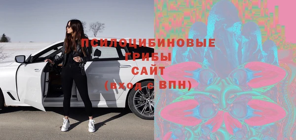 mdma Богородицк